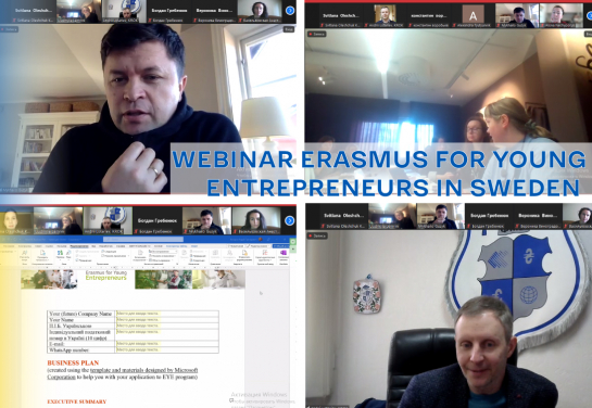 Webinar Erasmus for Young Entrepreneurs in Sweden
