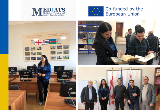 6th Project Steering Committee within MEDIATS Project